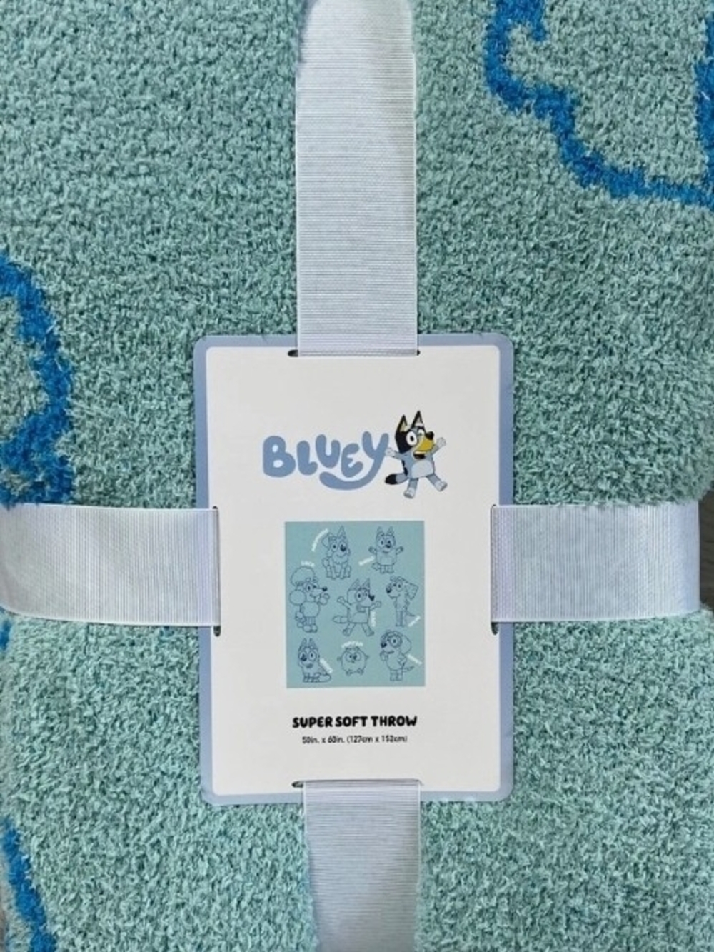 Bluey Super Soft Kids Throw Blanket - Aqua with Blue Accents